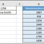 Specielle opslags formler i Excel